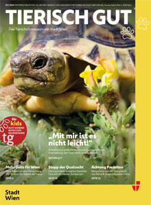 Cover des Magazins "tierisch gut" - Fisch unter der Wasseroberflche